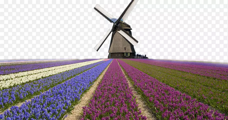 荷兰的Kinderdijk风车向风车墙纸倾斜-离荷兰房子很远
