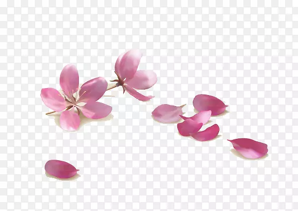 粉红花卉-免费摄影-春桃