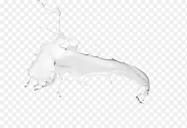 黑白图案-牛奶飞溅模板