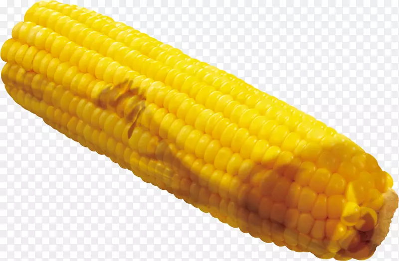 玉米上的玉米作物谷歌图片-玉米