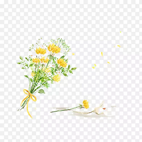 花卉设计插画.菊花花束图形