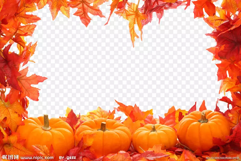 秋叶彩色剪贴画-秋叶边框