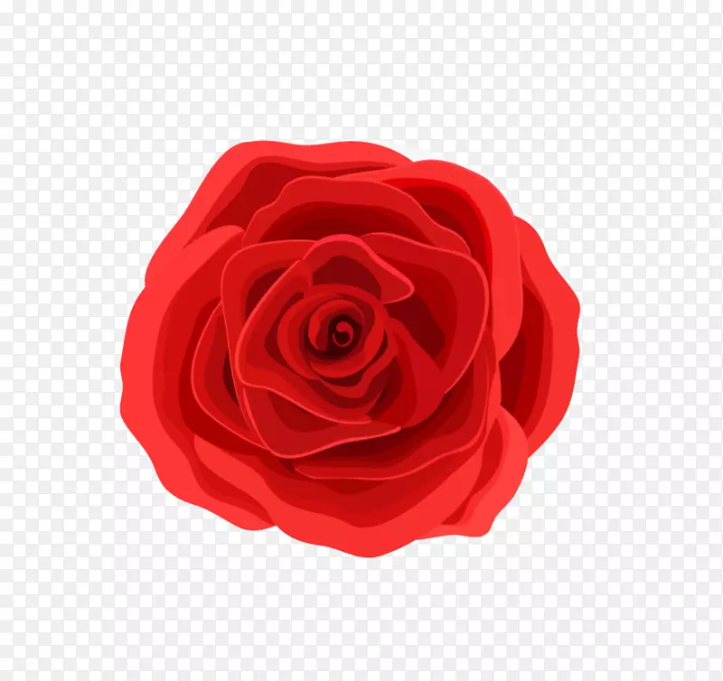 情人节玫瑰幸福手绘玫瑰