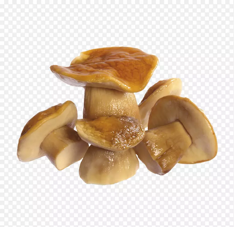 蘑菇图像文件格式.煮熟蘑菇