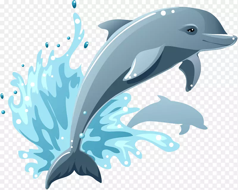 卡通画海豚剪贴画-海豚水族馆