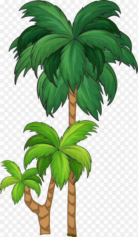 树槟榔科插图-卡通大鲜椰子