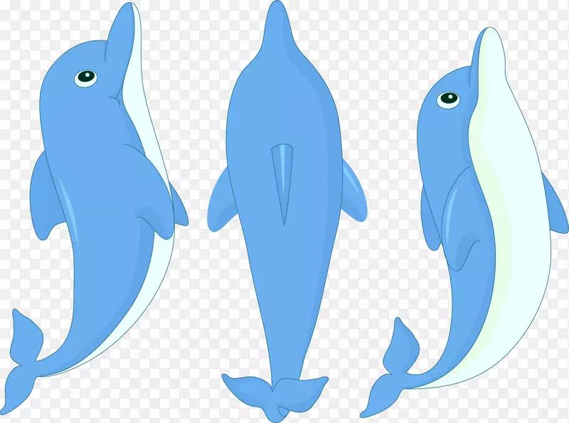 海豚动画剪辑艺术-卡通海豚
