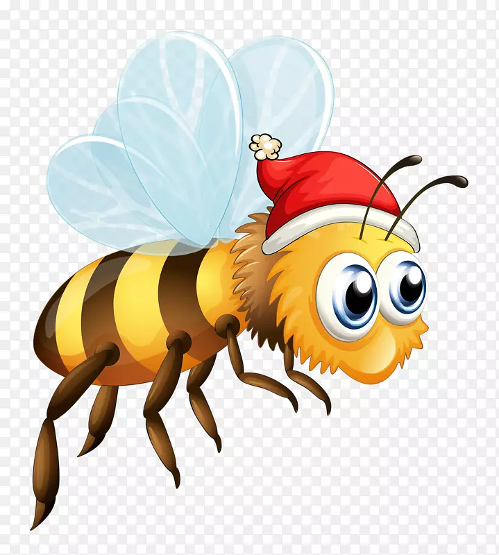 蜜蜂昆虫插图-蜜蜂帽