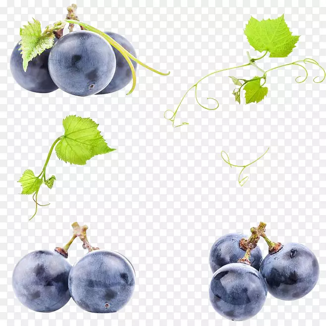 葡萄汁葡萄酒普通葡萄-紫葡萄