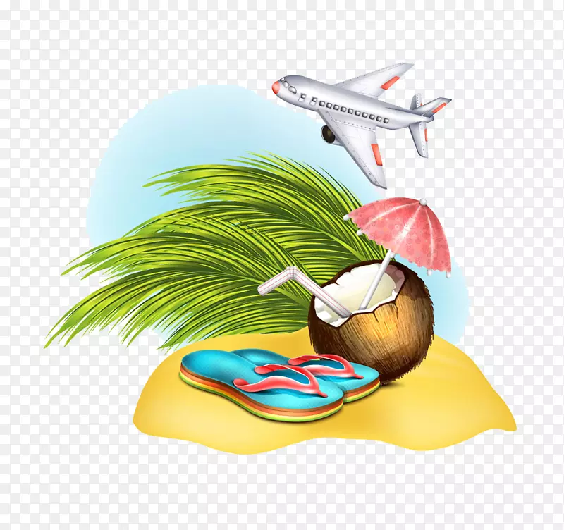 插画-拖鞋和椰子插画飞机下面
