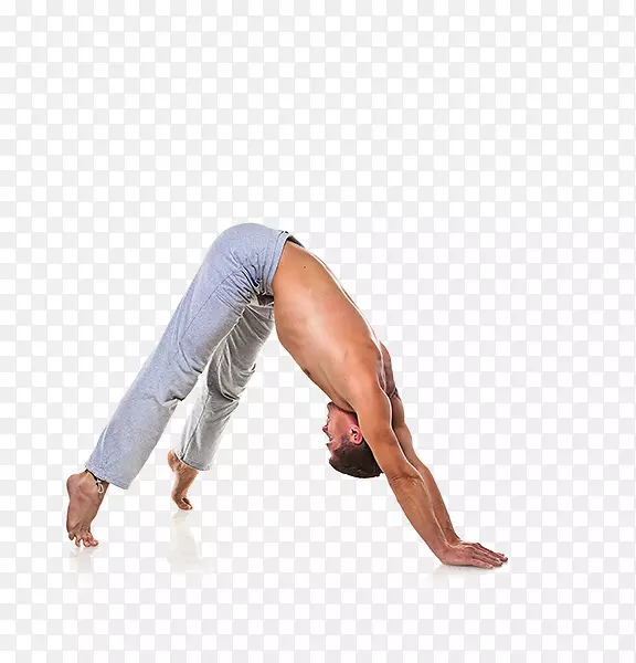 瑜伽：100种主要瑜伽姿势和姿势，供初学者和高级瑜伽练习者使用：终极指南为全身心健康，瑜伽垫，柔韧性，身体锻炼-瑜伽。