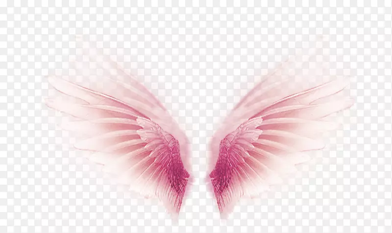 粉红翅膀装饰图案