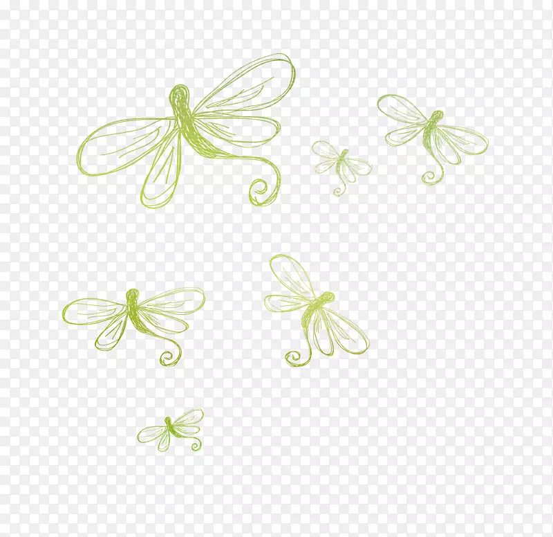 纸花瓣绿色图案手绘蜻蜓