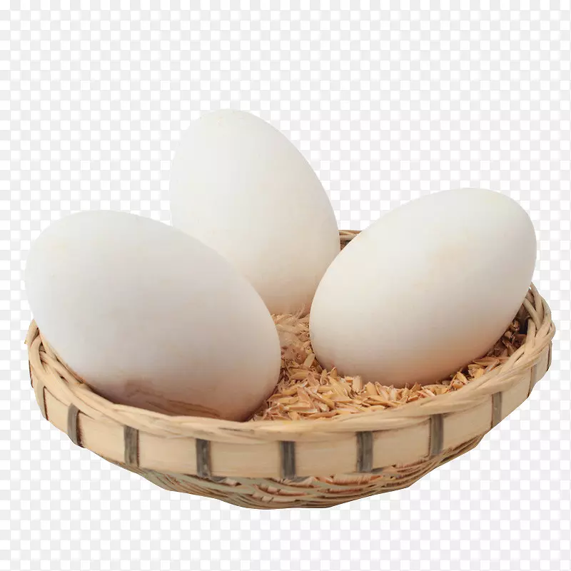 家鹅蛋鸡普通鸵鸟自由放养鸡场新鲜土壤