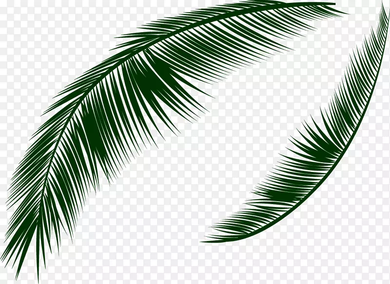 下载图标-新鲜椰子