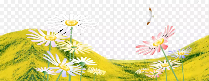 黄花图案图-菊花
