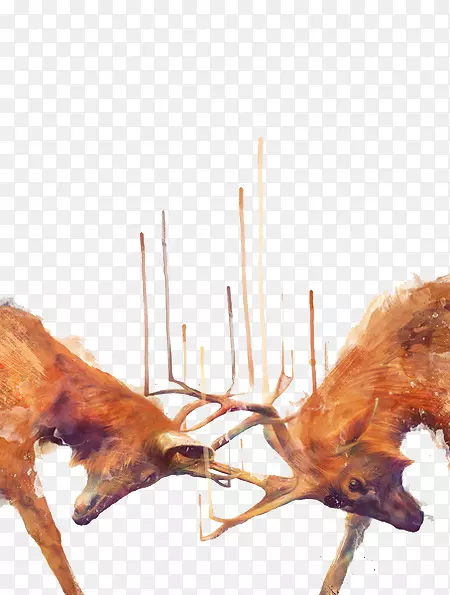 视觉艺术艾米汉密尔顿设计+插画艺术家插画-棕色鹿