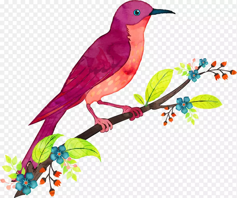 鸟类水彩画插图-五颜六色的雁