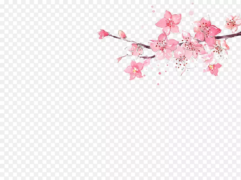 粉红水彩画插图-三月桃花画料