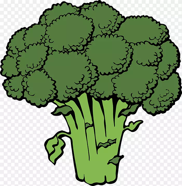 西兰花蔬菜剪贴画.花椰菜，蔬菜，绿色