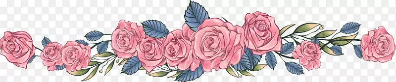 静物：粉红玫瑰粉红手绘玫瑰分界线