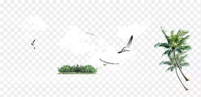 鹭大白鹭椰子树-白鹭，椰子树，白云树，树