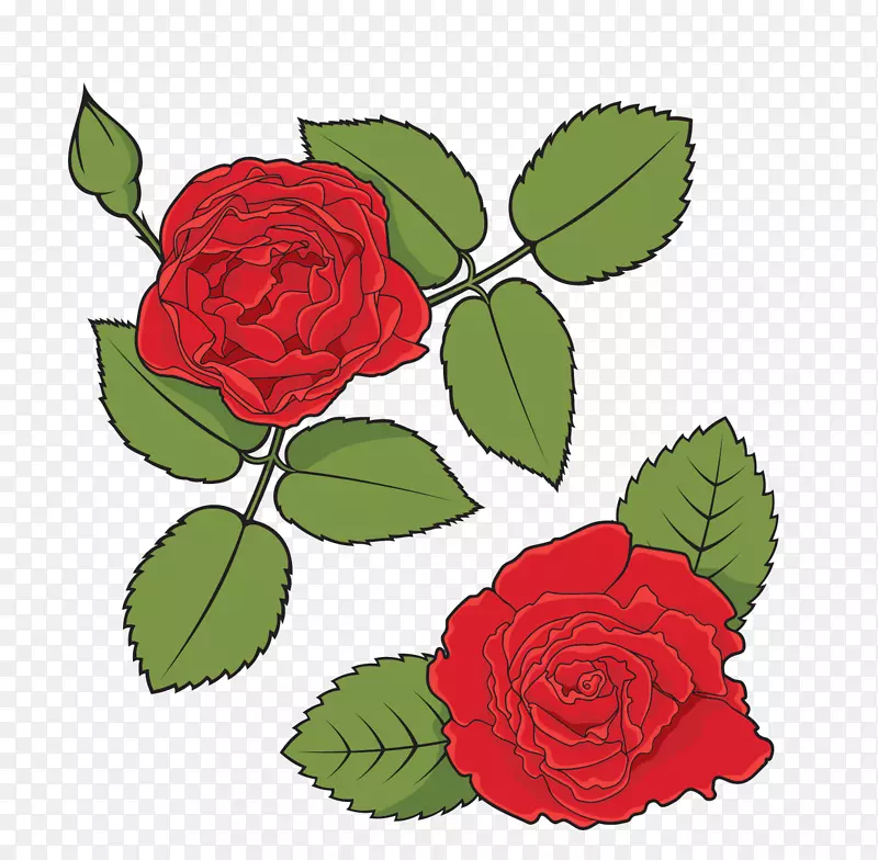 玫瑰摄影免费插图卡通玫瑰