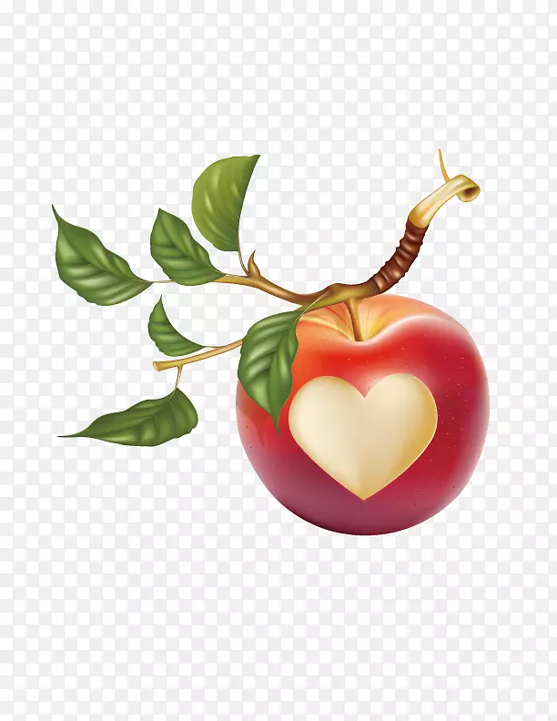 苹果叶果夹艺术-心苹果