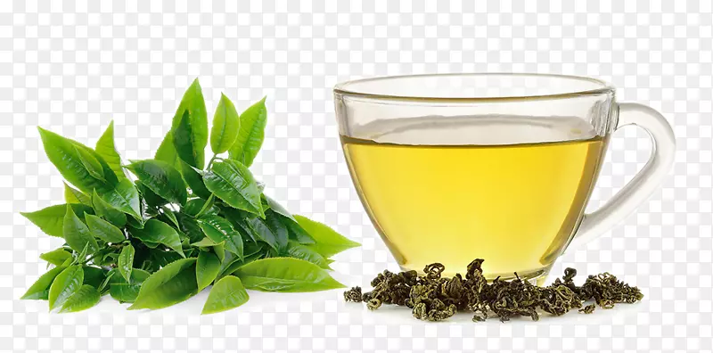 绿茶、白茶提取物、茶花.湿茶及柠檬水高清照片
