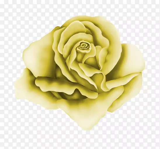花园玫瑰画夹艺术-玫瑰