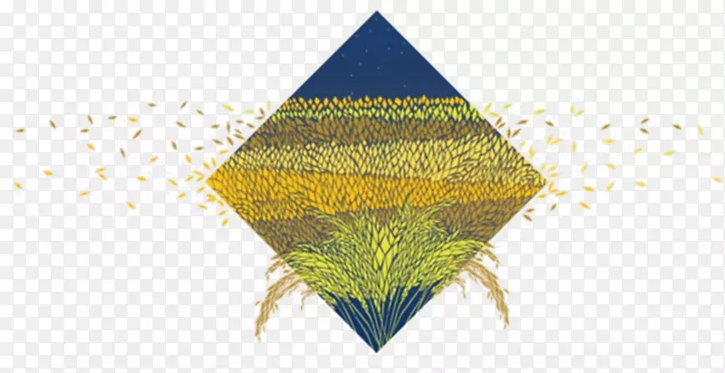 设计师-装饰画钻石小麦