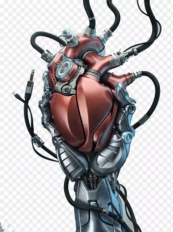 人工心脏瓣膜解剖.深红色机械心脏