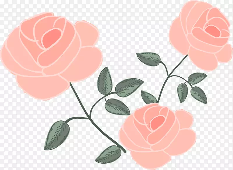 玫瑰花绘图-粉红色玫瑰
