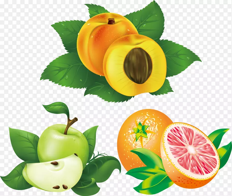 水果桃子杏树插图-绿叶柠檬桃子苹果