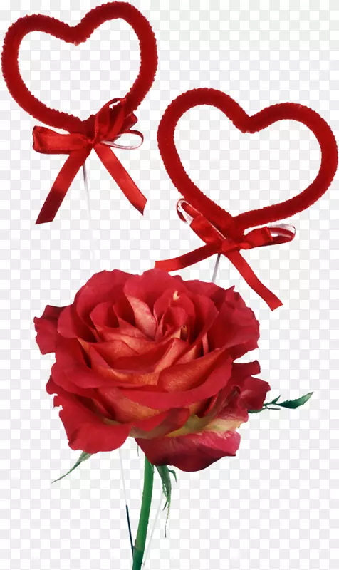 情人节-玫瑰和心