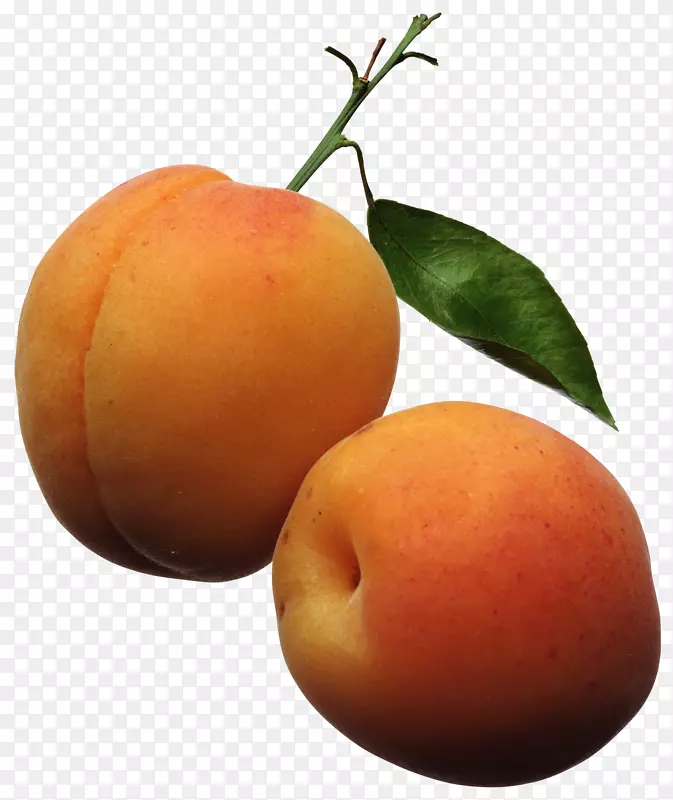 杏子桃夹艺术水果桃子