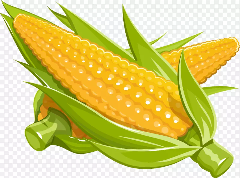 玉米免版税插图卡通玉米