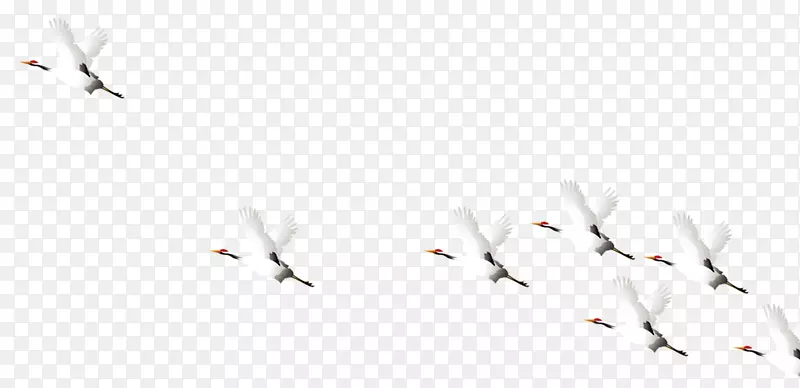 纸鸟图案-一群鹤飞