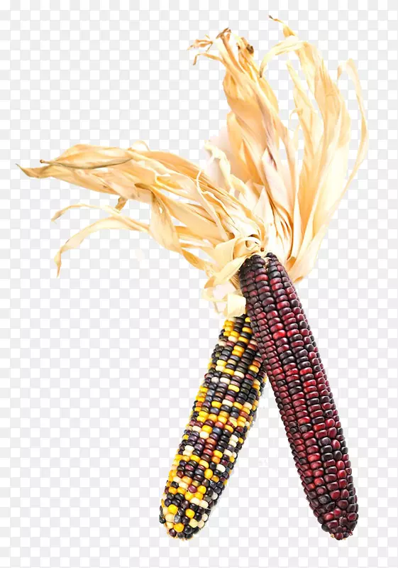 玉米芯上的弗林特玉米，摄影，玉米芯，玉米粒-玉米
