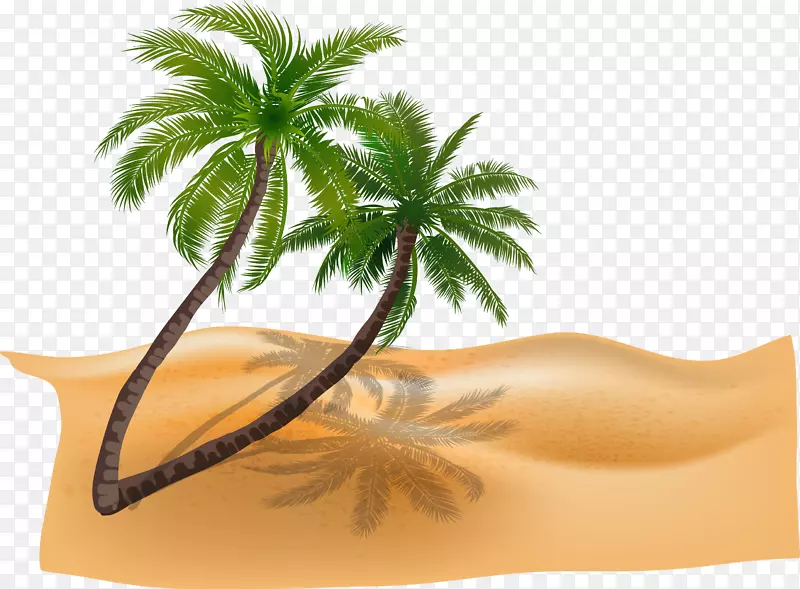 海滩椰子-载体材料植物椰子树海滩