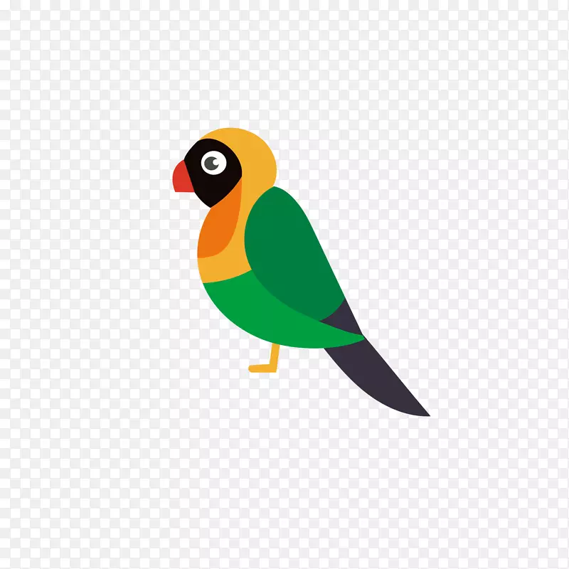 鸟鹦鹉-彩色鹦鹉