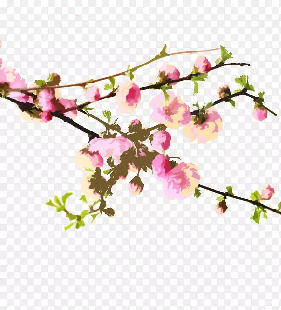 樱花桃花墙纸手绘桃花