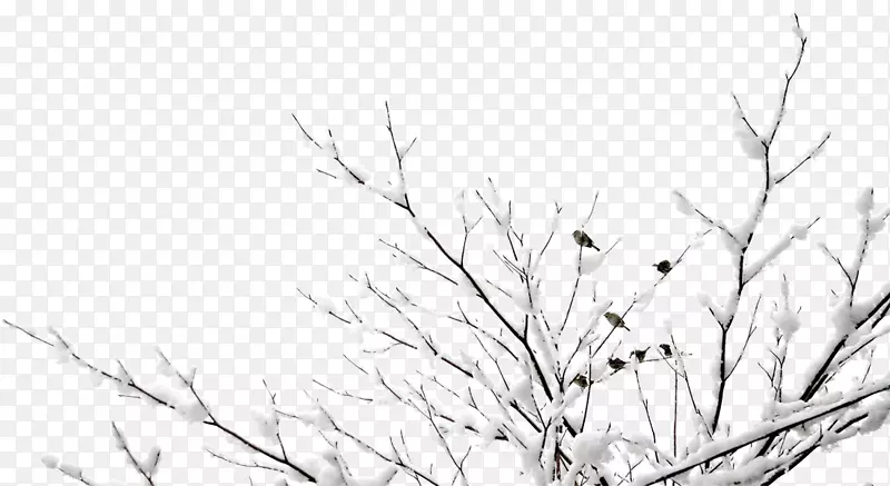 谷歌图片-免费雪挂树枝拉麻雀材料