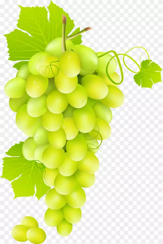 葡萄汁普通葡萄绿葡萄