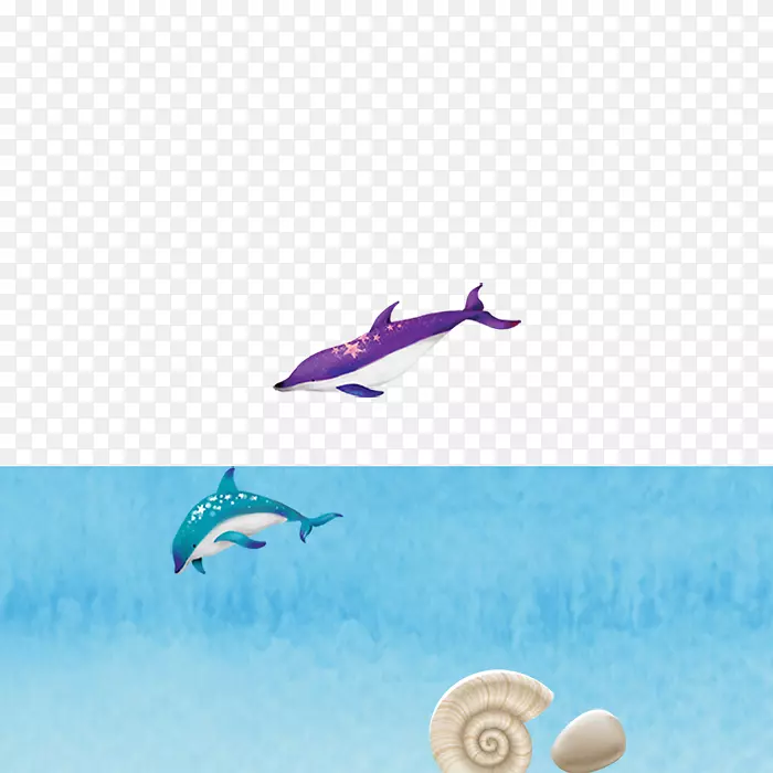 海豚夏日壁纸-手绘海豚海螺