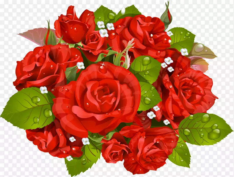 玫瑰花束，摄影剪辑艺术.带水滴的红玫瑰花束