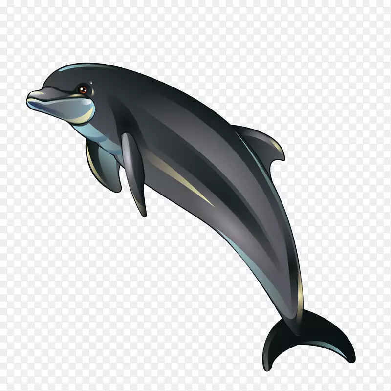 海豚卡通插图-卡通海豚