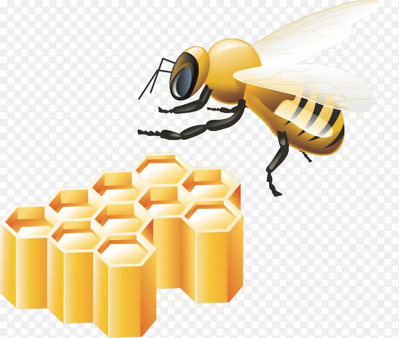 无蜜蜂比特币金币android应用程序包captcha-蜂蜜