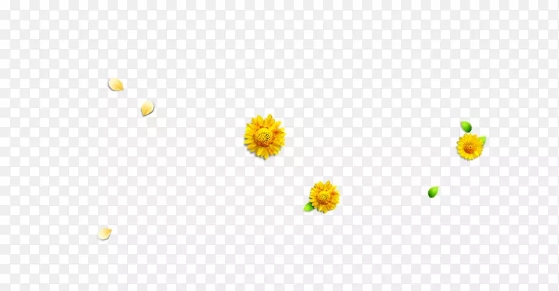 花瓣黄色图案-菊花叶花瓣