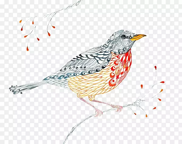 鸟类欧洲知更鸟视觉艺术水彩画插图手绘元素林业部鸟类